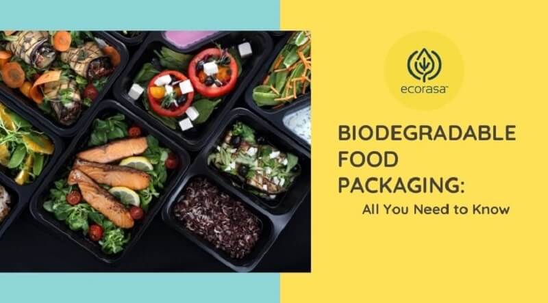 Biodegradable Food Packaging: All You Need to Know
